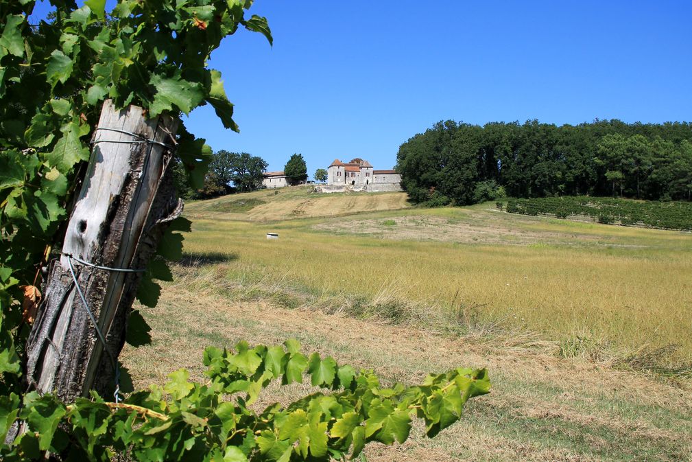 Château Thenoux - photo 2