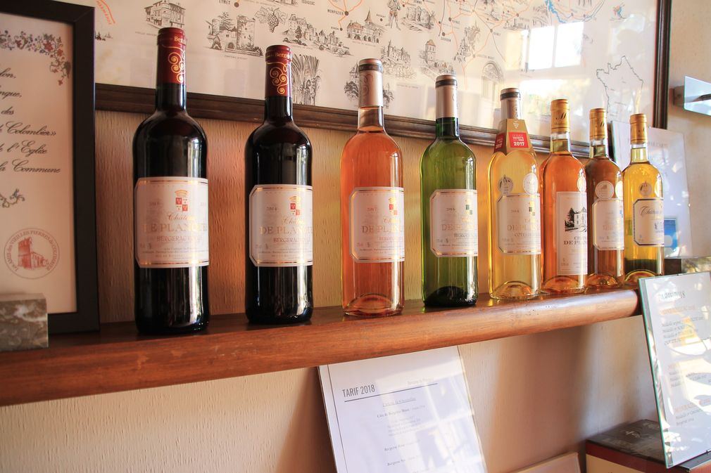 Château de Planques - photo 2