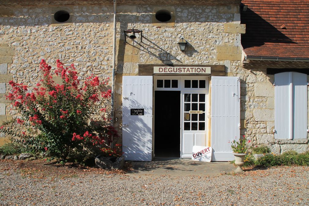 Château de Planques - photo 5