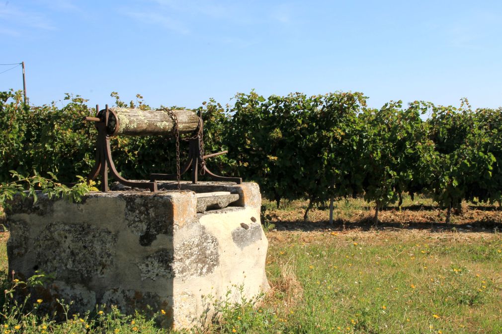 Château des Ganfards — photo 3