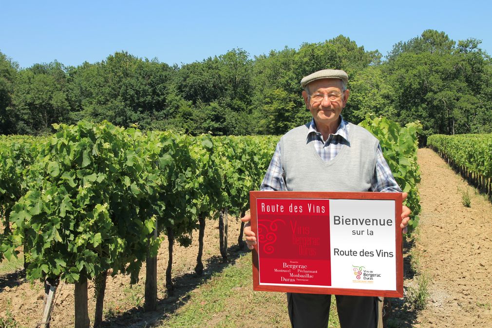 Château La Plante - photo 3