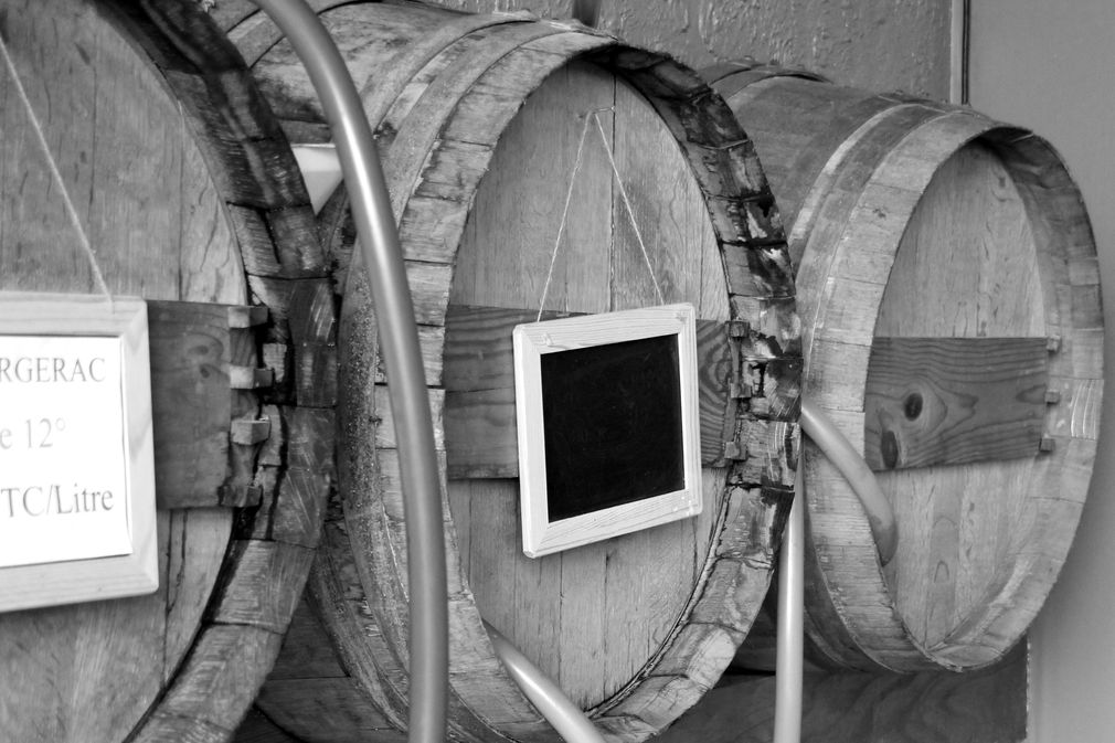 Château Pagnon - photo 5