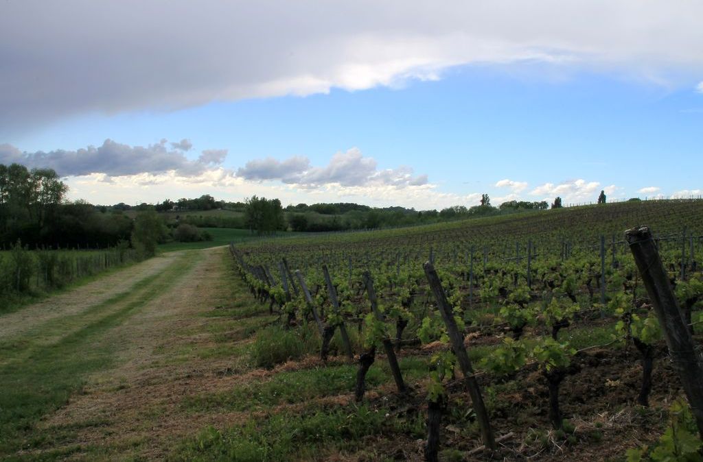 Domaine de Jolis Bois
