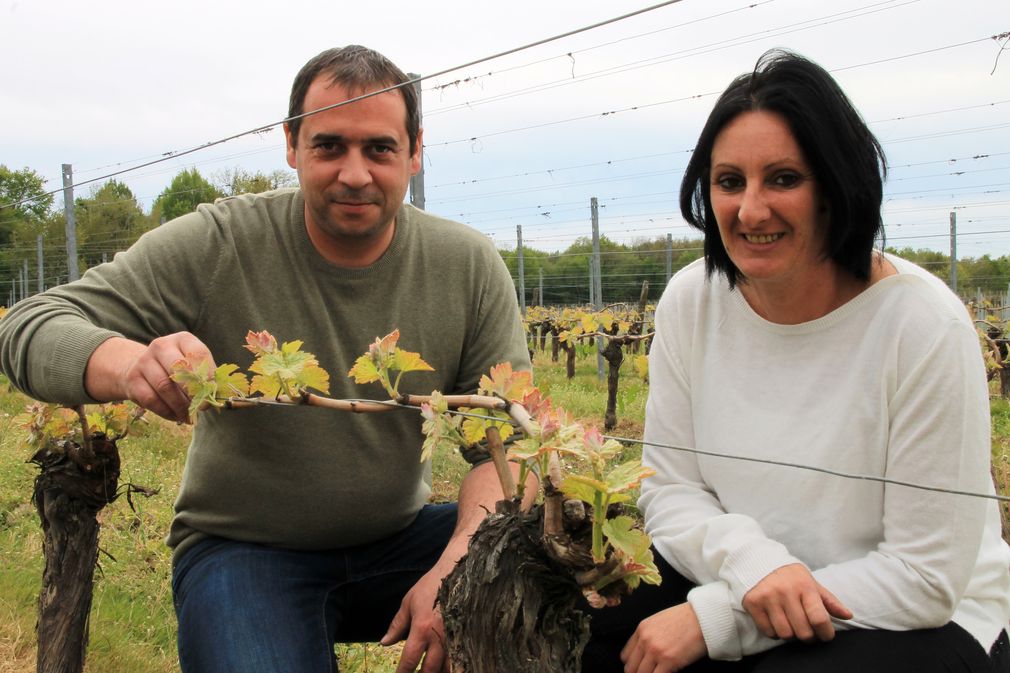 Château Roque Peyre - GAEC de Mazurie