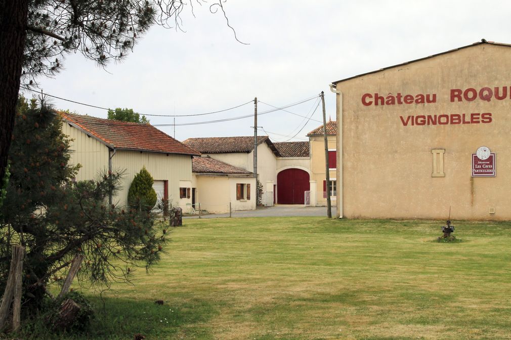 Château Roque Peyre - GAEC de Mazurie - photo 3