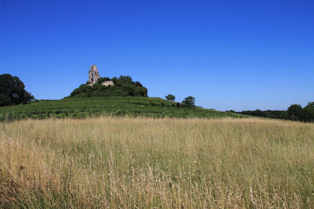 Château de Gurson