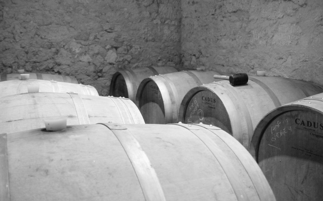 Domaine des Trois Saules - photo 2