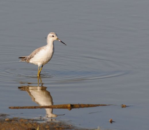 Menez l'enquête autour du Lac de Lescourroux