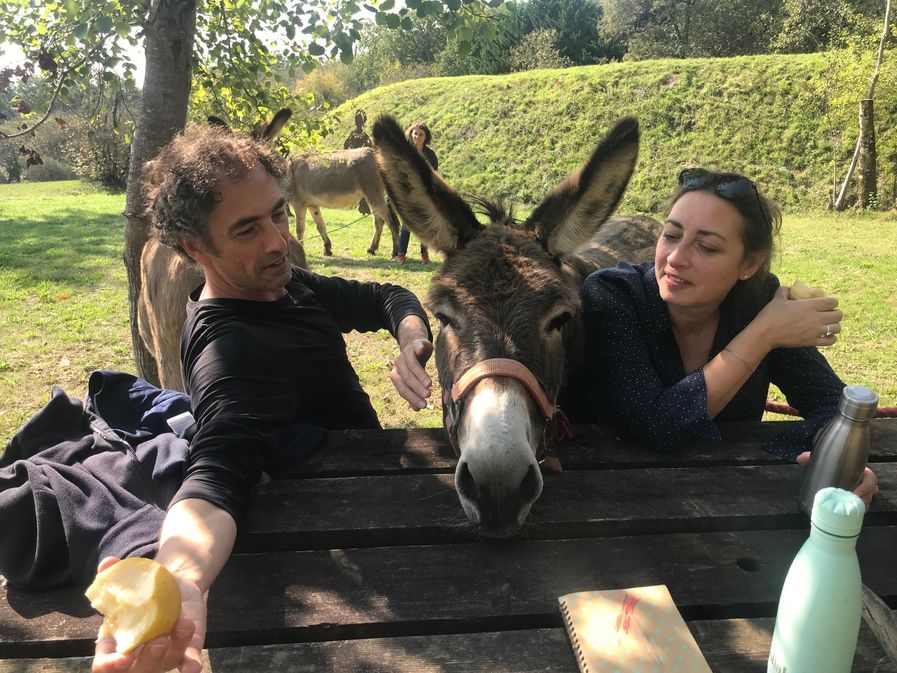 Aux âneries de Dordonie