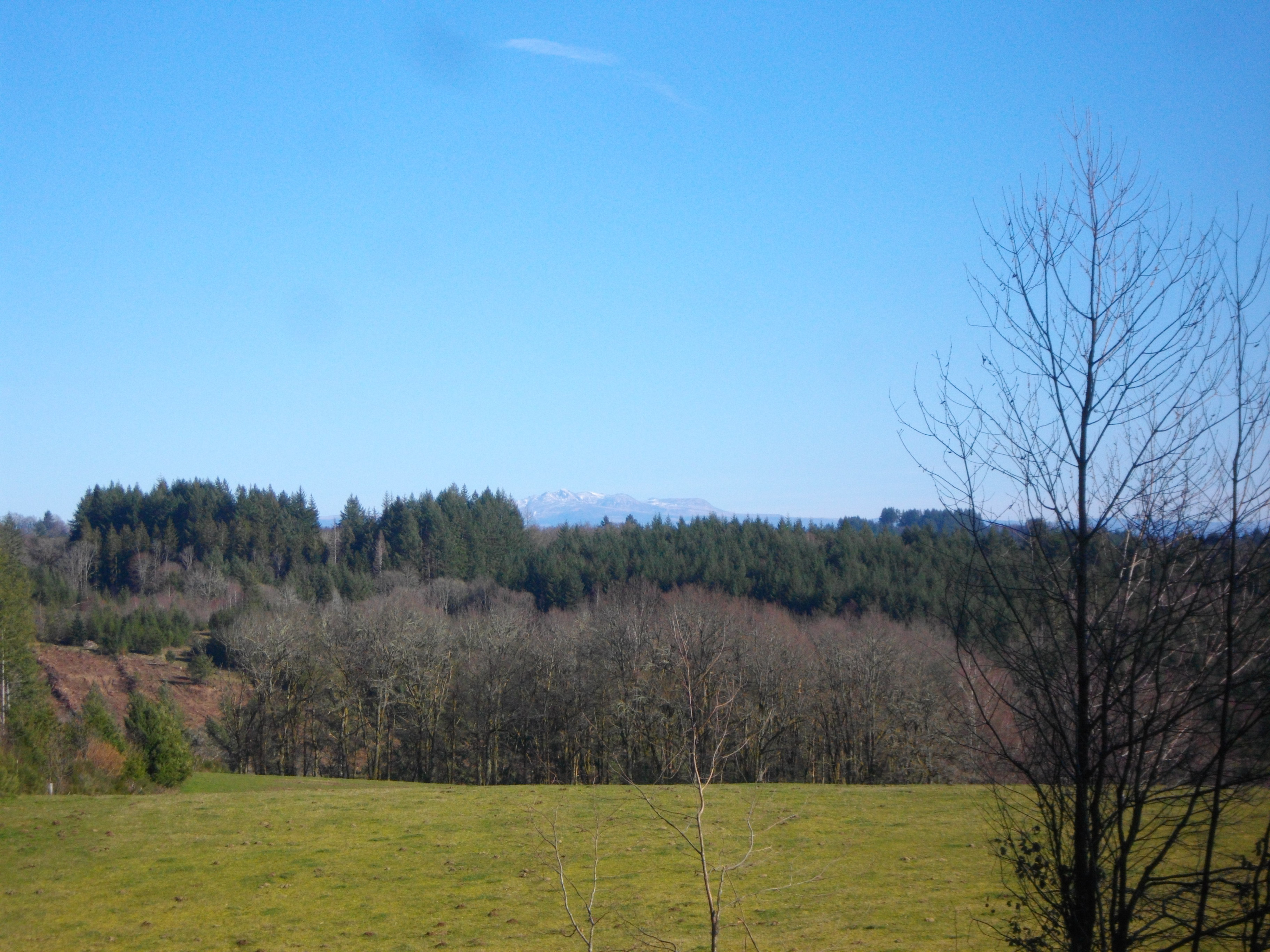 De feuilles en aiguilles, Ambrugeat - photo 4