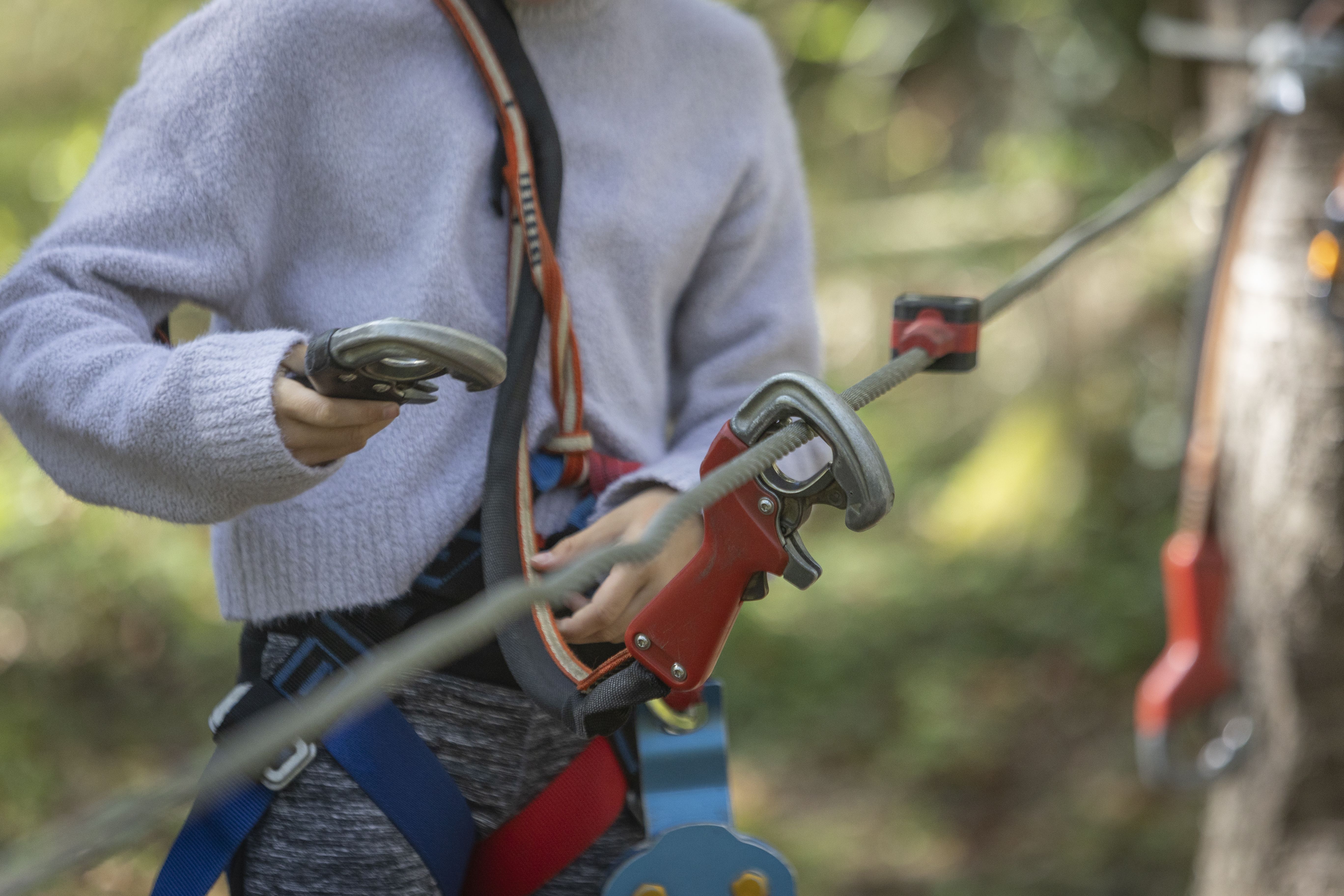 Parc Aven'Thuré - Parc d'Aventures en Forêt - photo 5