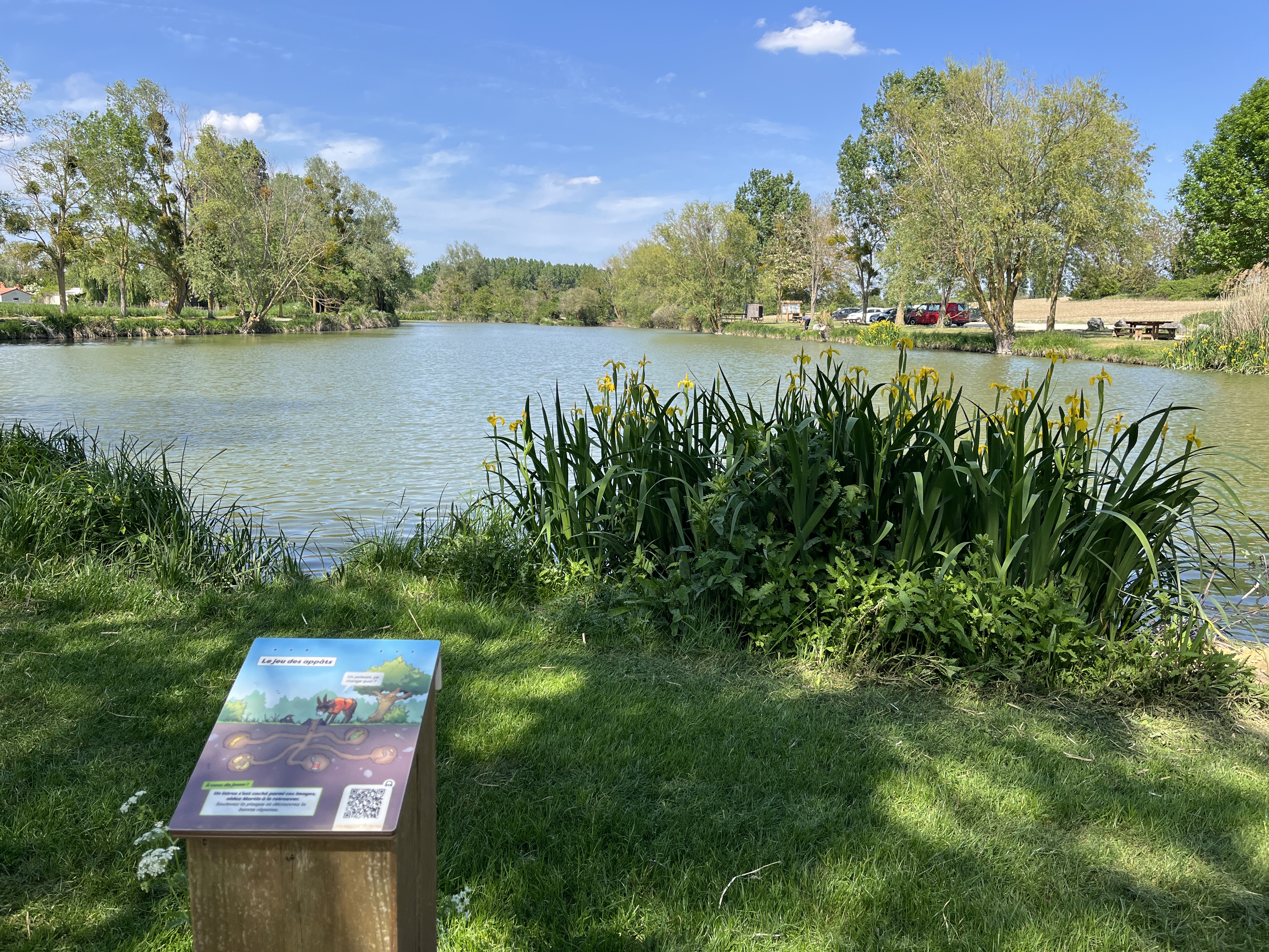 Etangs de Saint-Martin