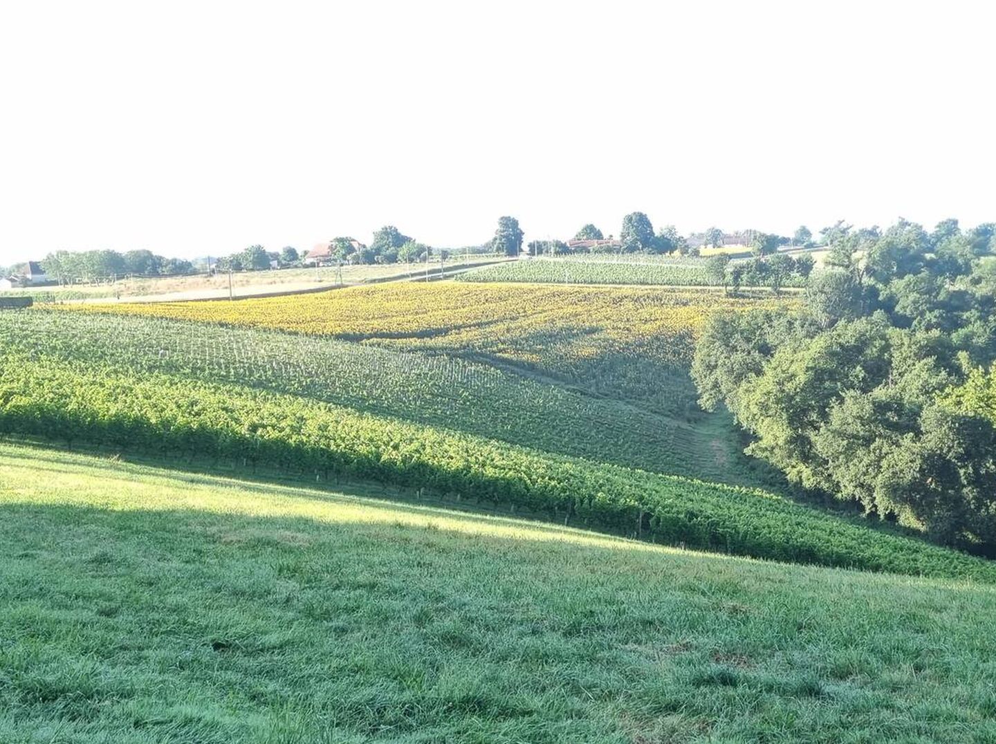 Gîte d'Oihana, Aydie