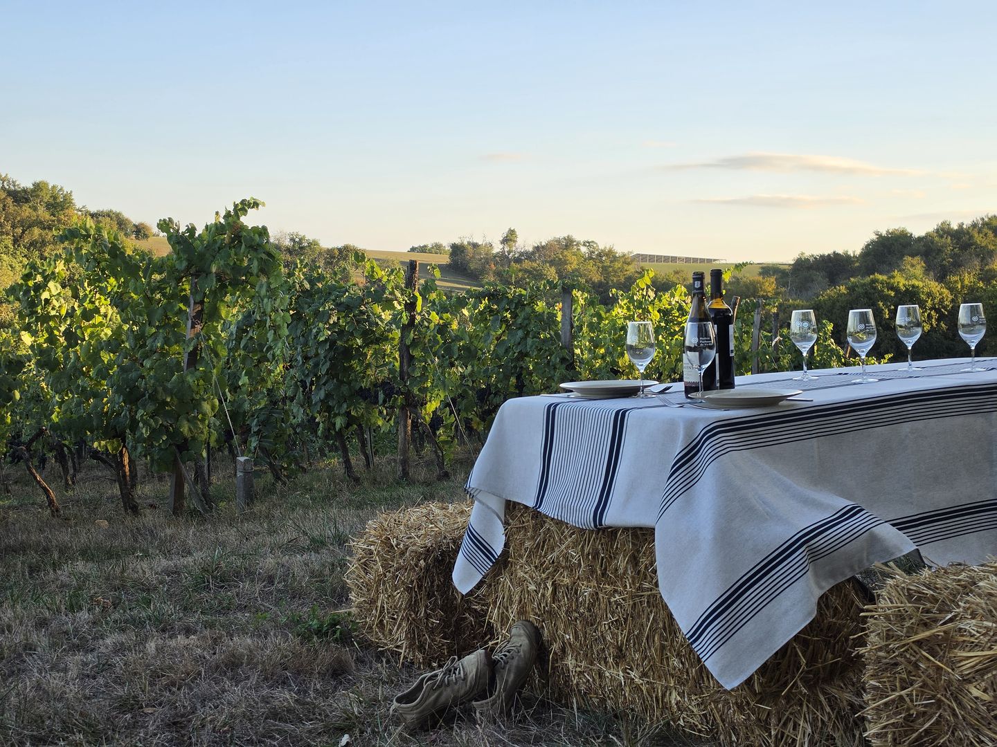 Vignobles en Scène "Banquet Vagabond et bal des Vivants", au Domaine Damiens