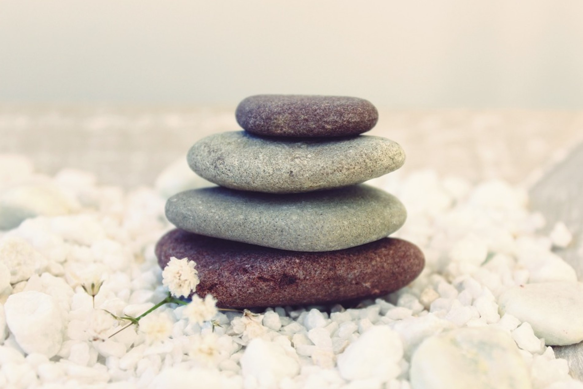 Activité de la MCL : Ayurveda