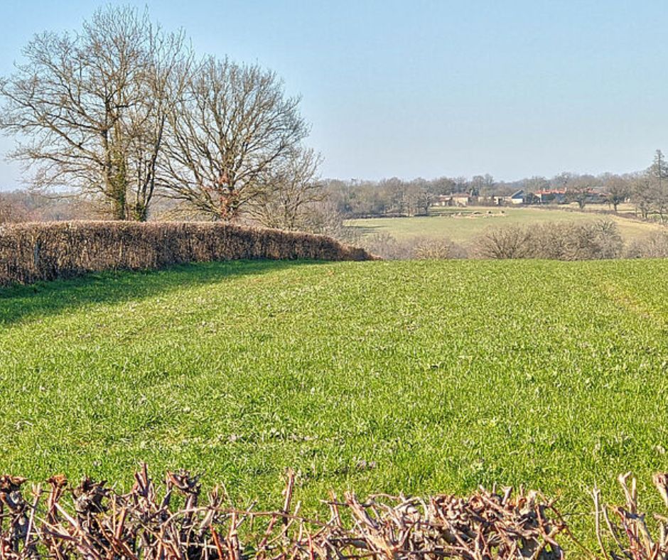 Balade nature "Le bocage dévoilé : nature préservée et géologie" à Luchapt — visuel événement