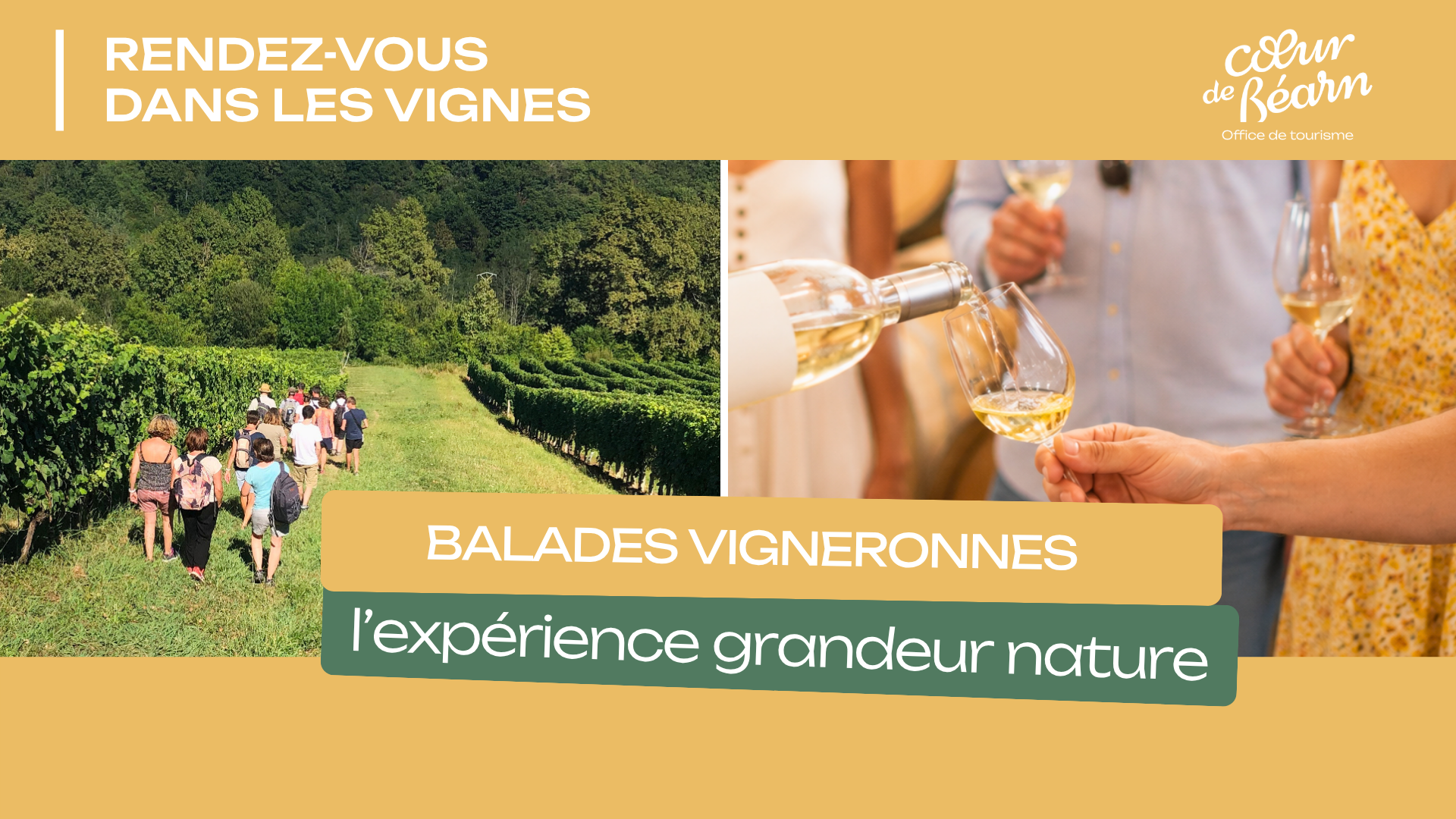 Balade vigneronne : Le Dôme
