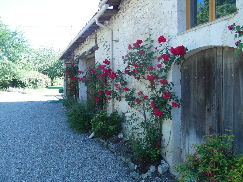 Gîte La Bambele, Cunèges - photo 16