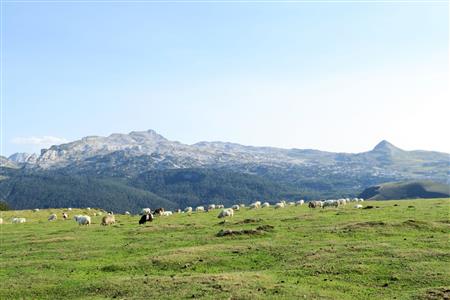 Monsieur Michel LARROUYET - Accompagnateur en montagne