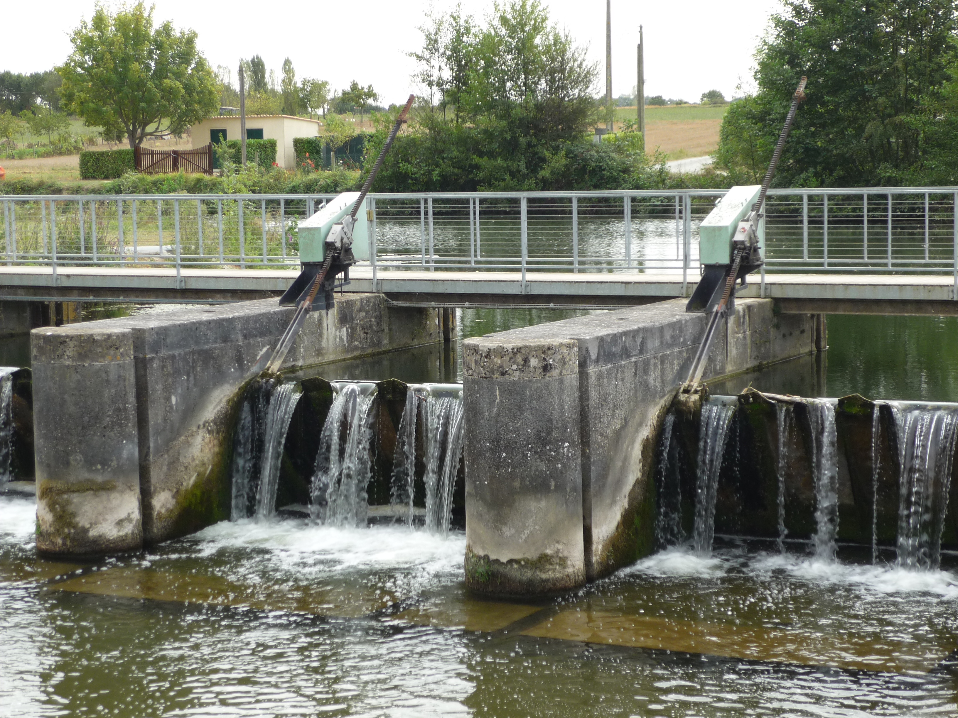 Site du Marais Pin (Magné)