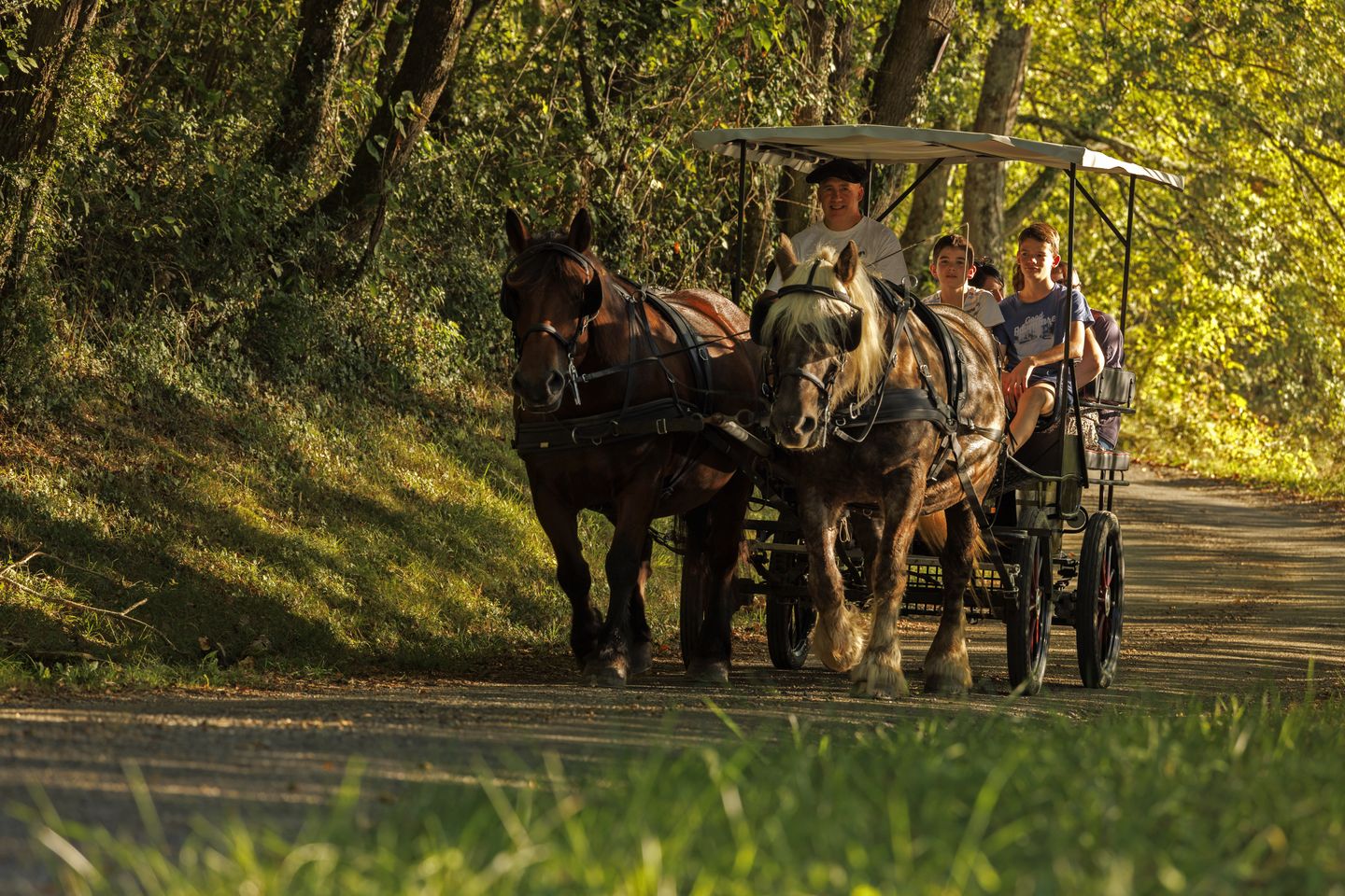 La ferme Au Bèth Lòc - photo 2