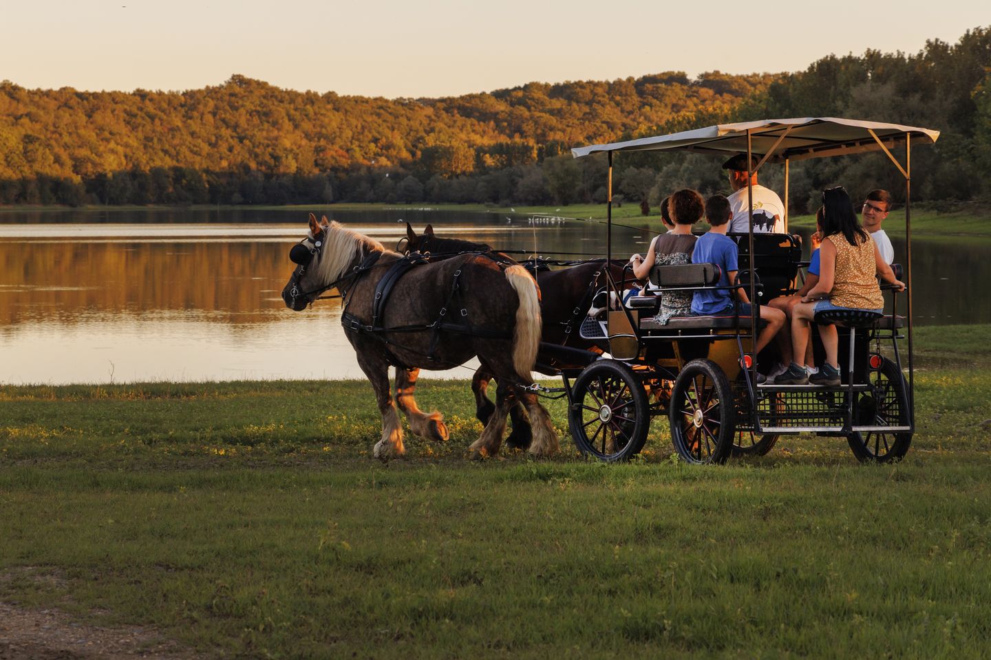 La ferme Au Bèth Lòc, Bassillon-Vauzé - photo 6