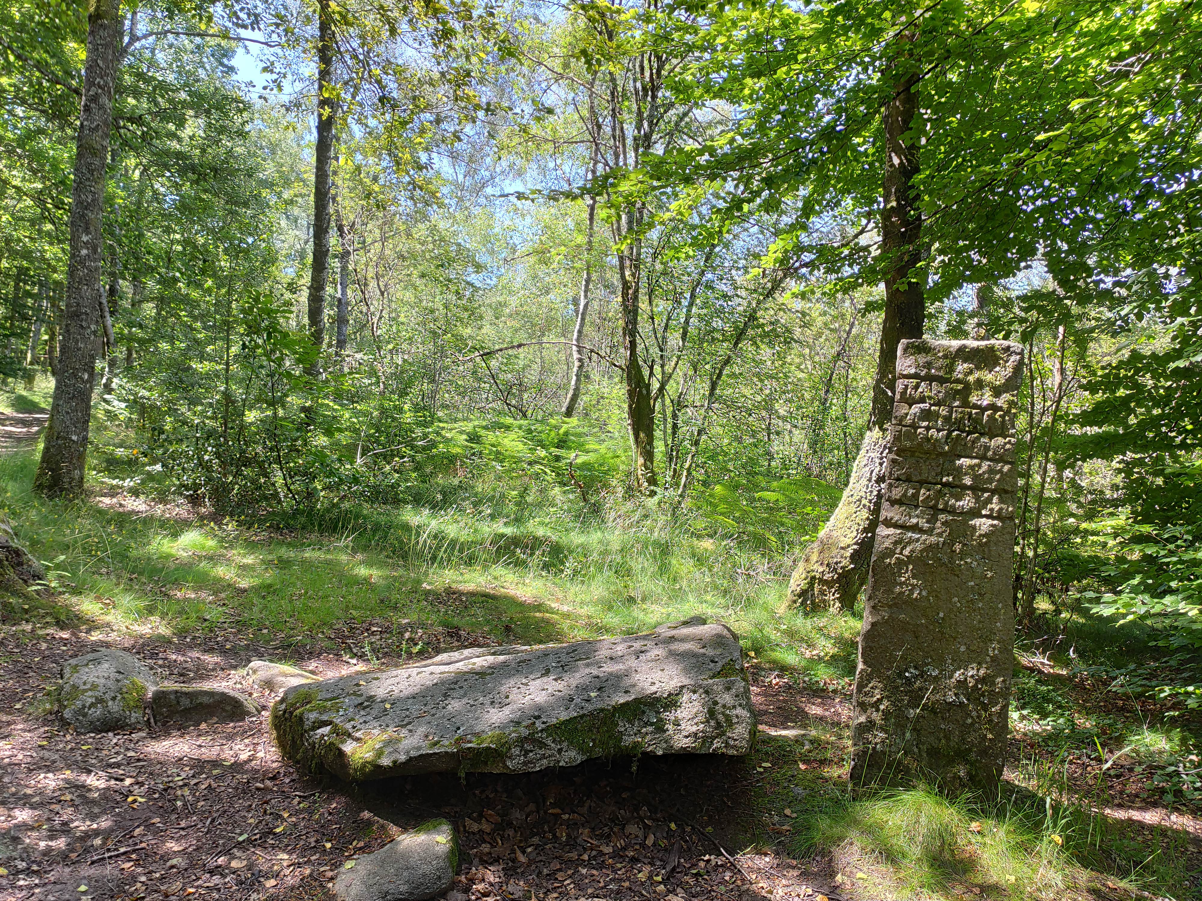 Chemin des poètes — photo 2