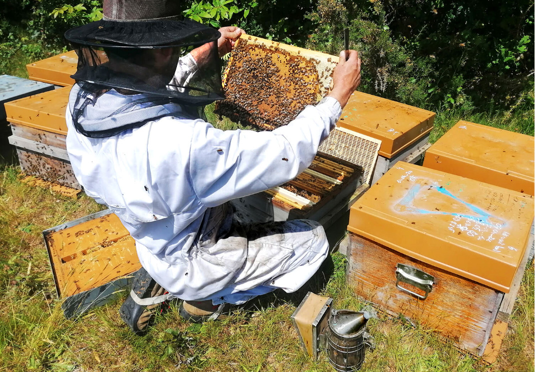 Les ruchers de la Courcelle - photo 3