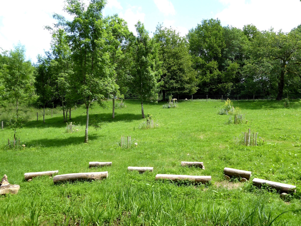 Aire de pique-nique - Parcours du Rimaury - photo 4