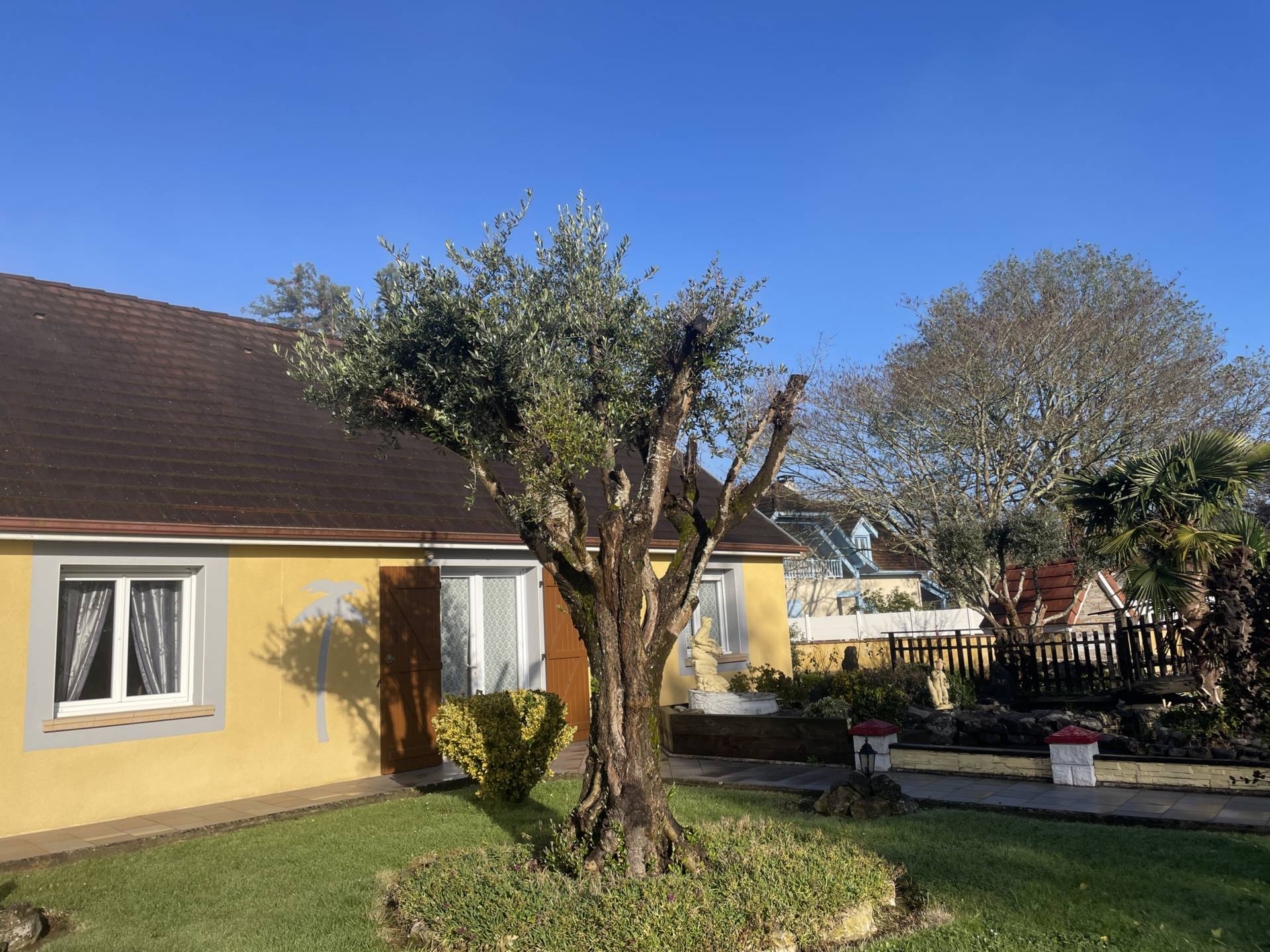 BIERE Jean Edmond, Ramous - photo 4