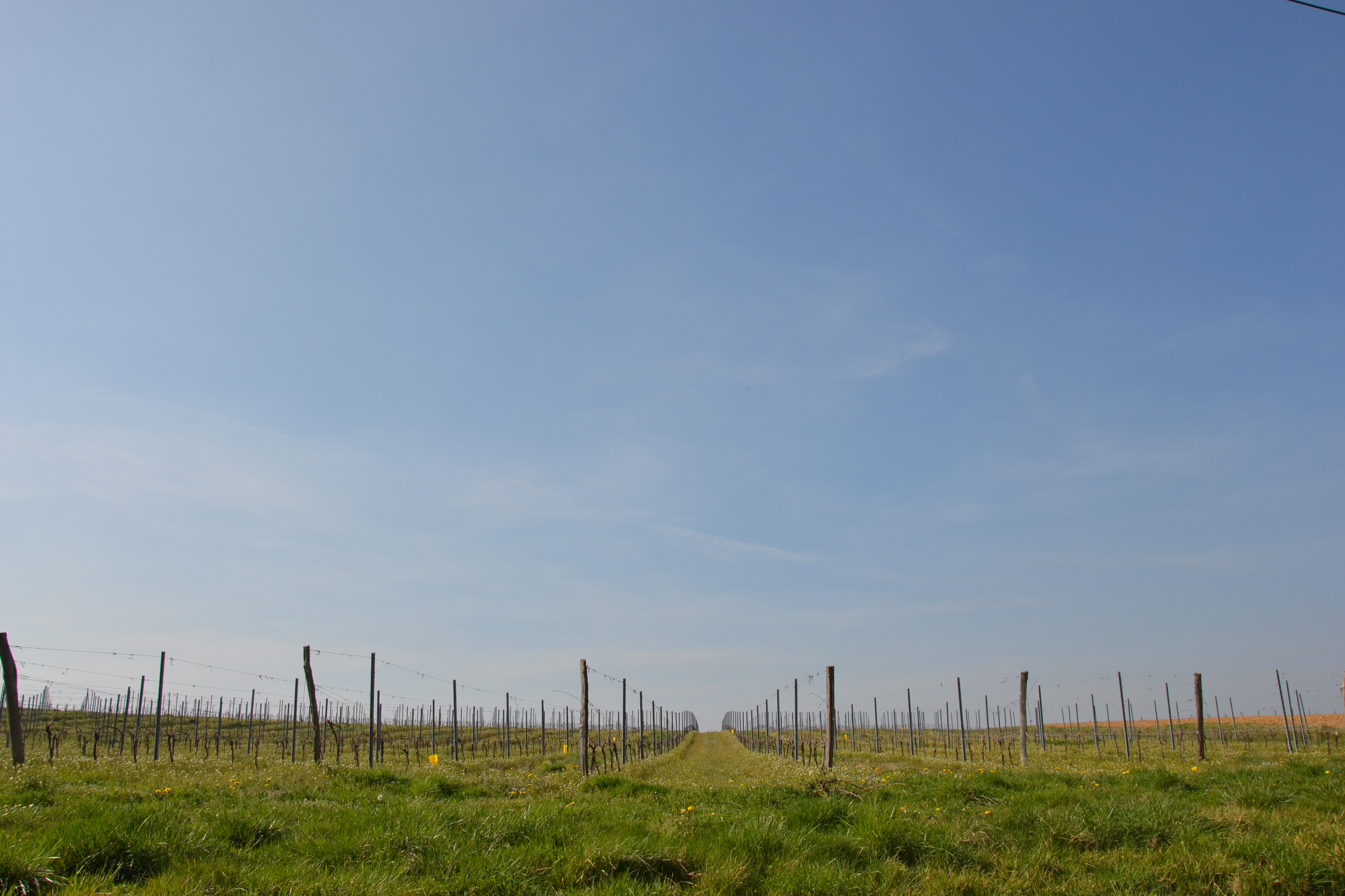 Boucle locale des Châteaux - photo 3