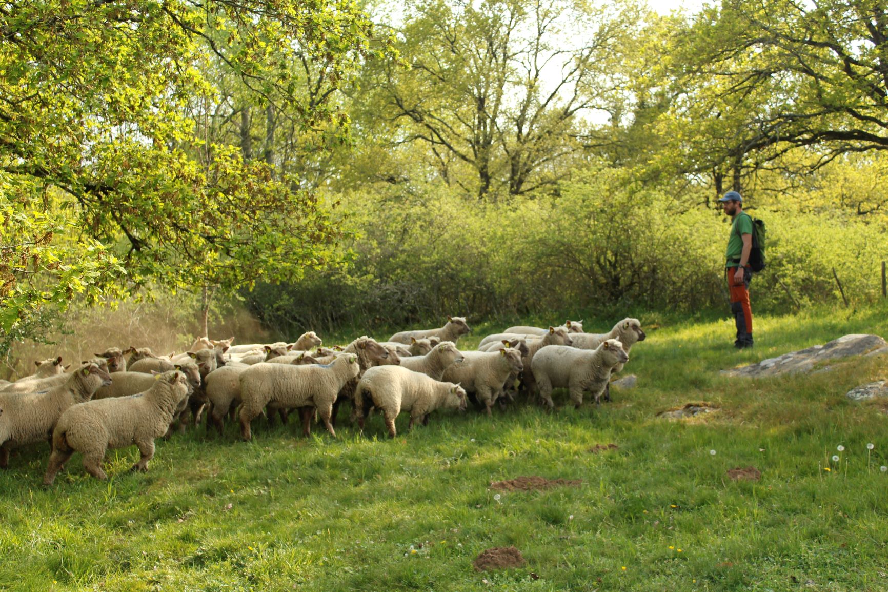 Maison ancienne au coeur de la Gâtine poitevine, Gourgé - photo 7
