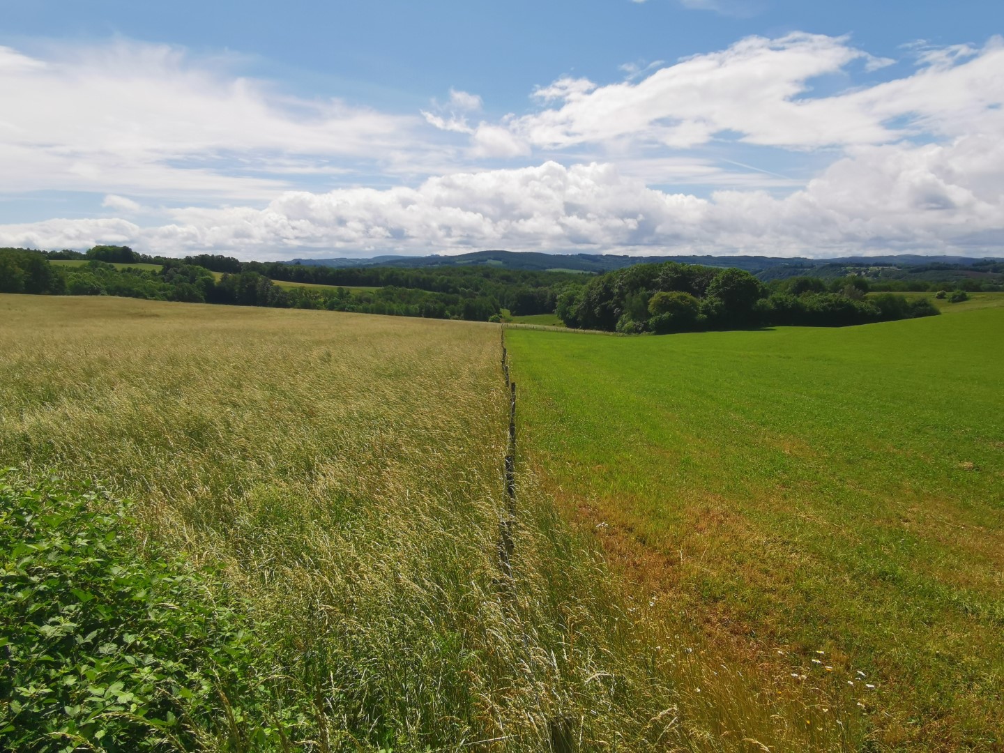 Boucle Locale N°50 Saint Dizier Leyrenne et la vallée du Thaurion, Saint-Dizier-Masbaraud - photo 3