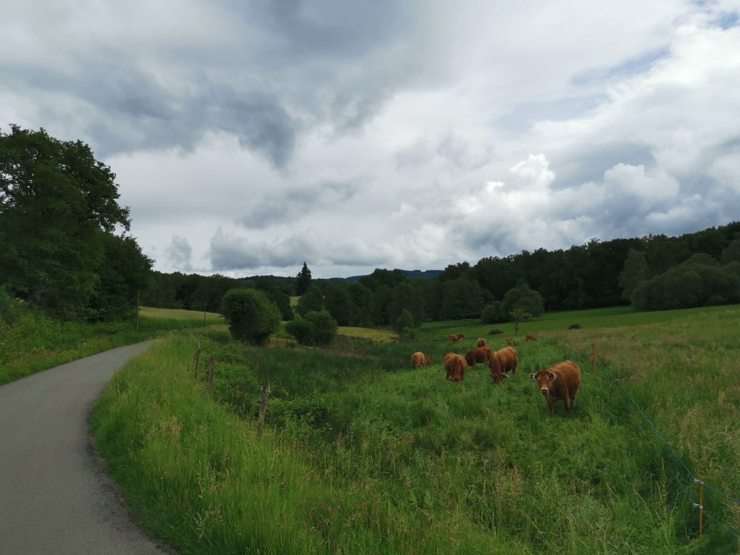 Boucle Locale N°51 La Boucle du château de pierres, Soubrebost - photo 5