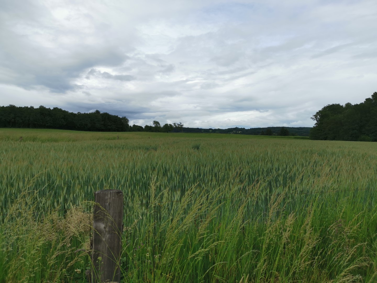 Boucle Locale N°51 La Boucle du château de pierres, Soubrebost - photo 7