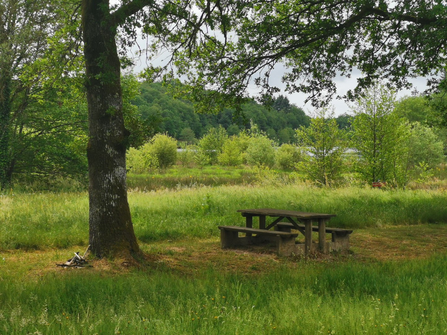 Boucle Locale N°50 Saint Dizier Leyrenne et la vallée du Thaurion, Saint-Dizier-Masbaraud - photo 6