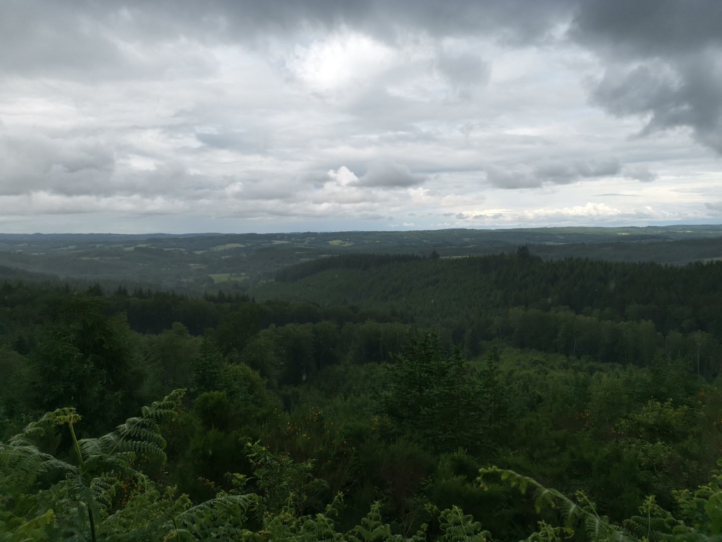 Boucle Locale N°51 La Boucle du château de pierres, Soubrebost - photo 8