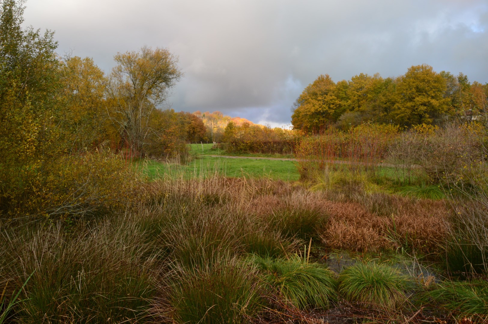 Boucle Locale N°53 Masgot, village sculpté et l'église décorée de Sous-Parsat, Fransèches - photo 6