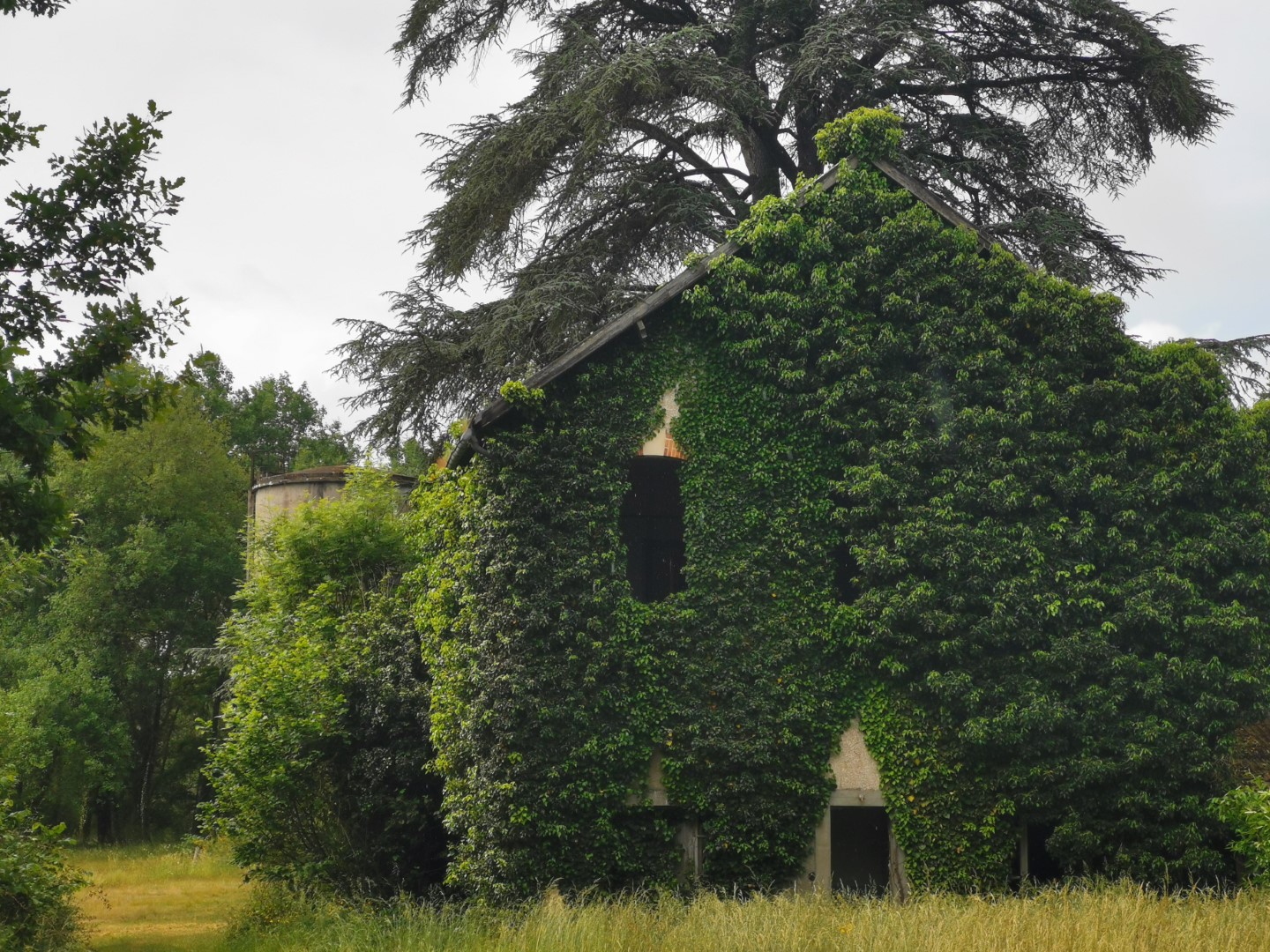 Boucle Locale N°50 Saint Dizier Leyrenne et la vallée du Thaurion, Saint-Dizier-Masbaraud - photo 2