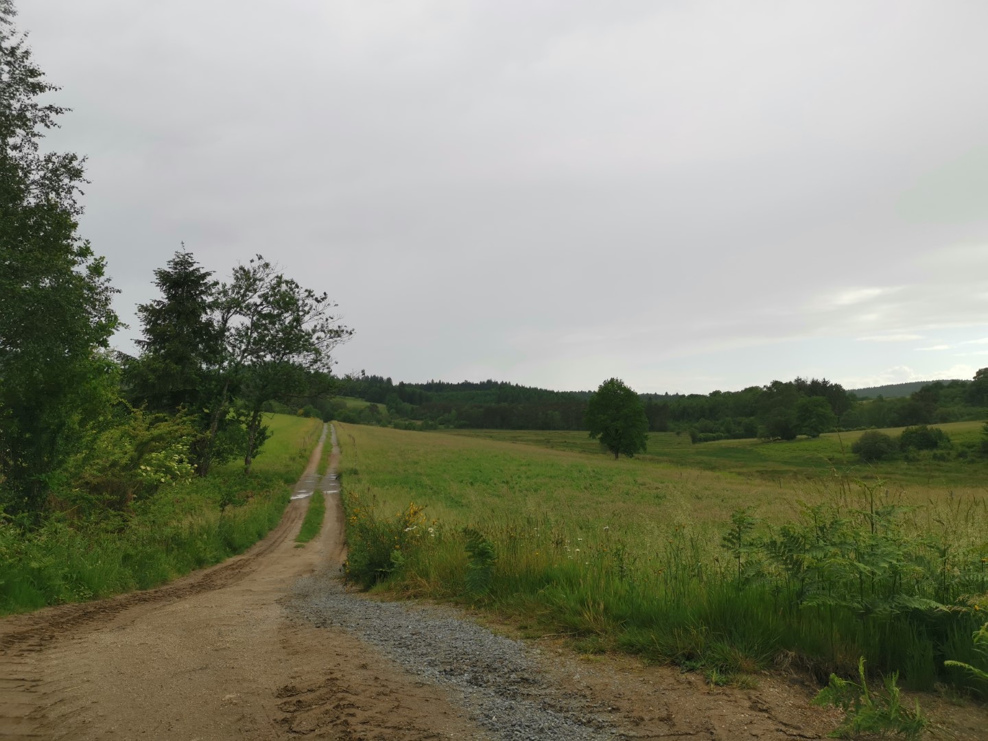 Boucle Locale N°51 La Boucle du château de pierres, Soubrebost - photo 4