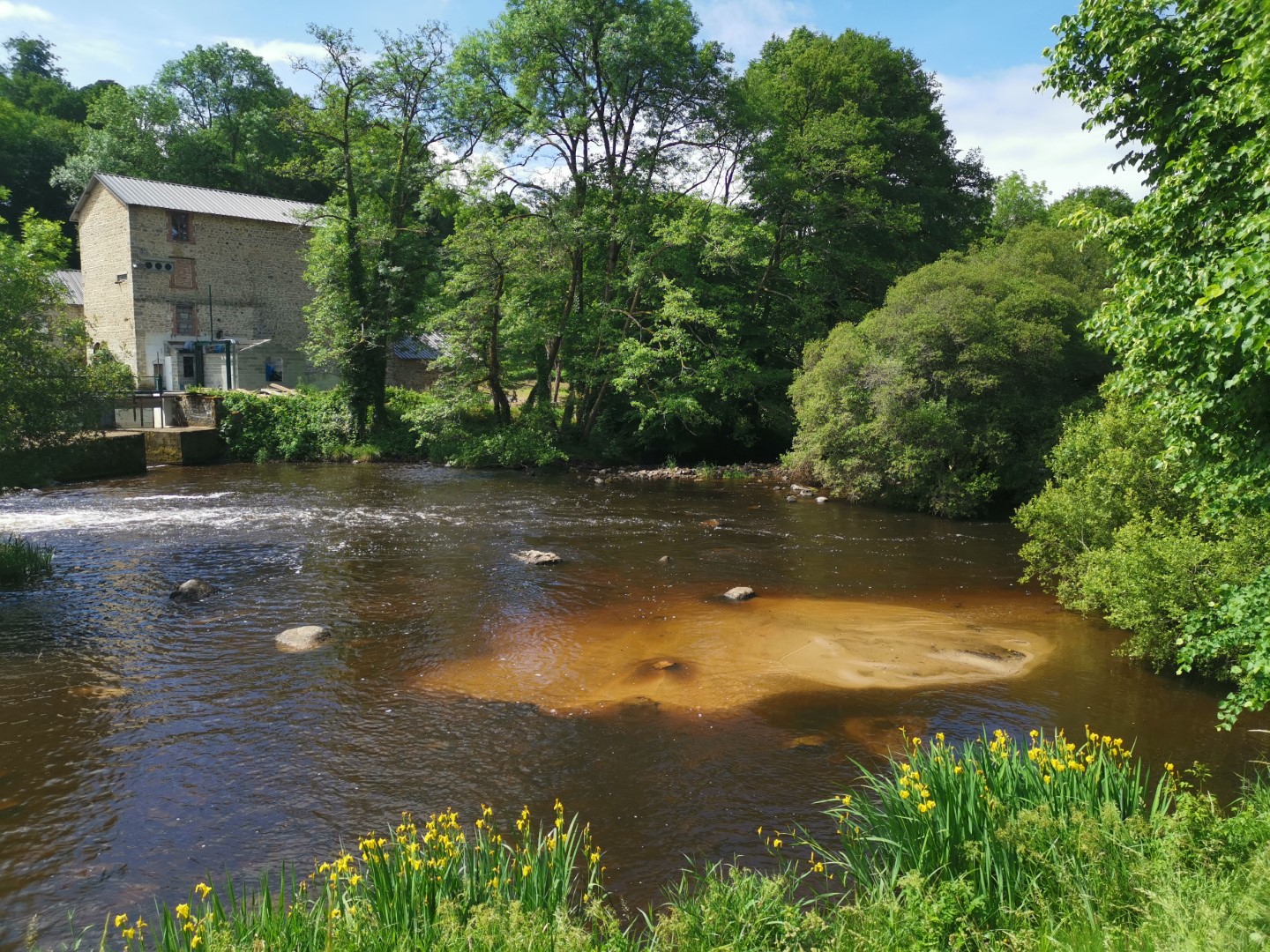 Boucle Locale N°50 Saint Dizier Leyrenne et la vallée du Thaurion, Saint-Dizier-Masbaraud - photo 4