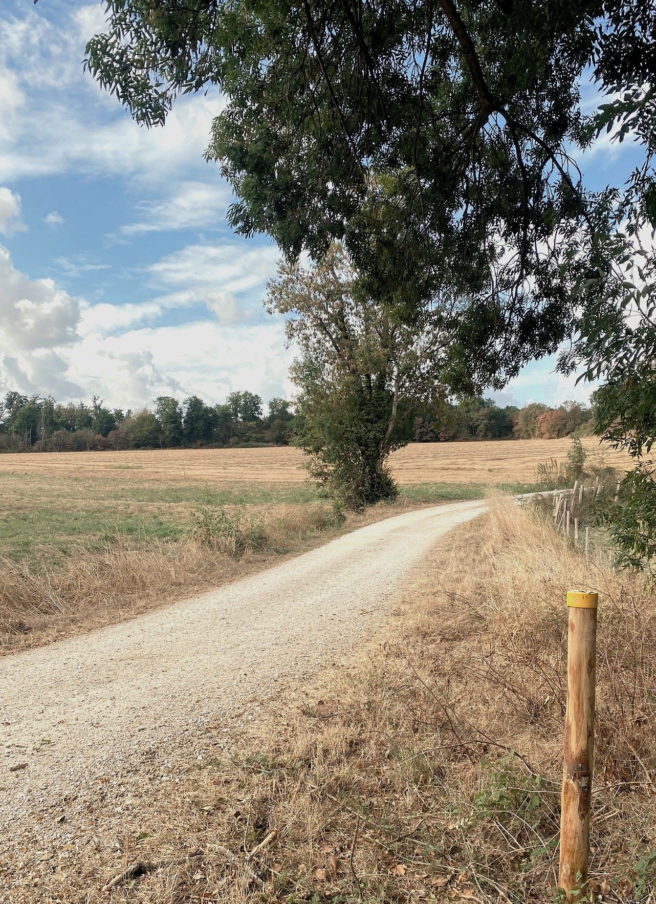 Boucle de Bourg du Bost - photo 5