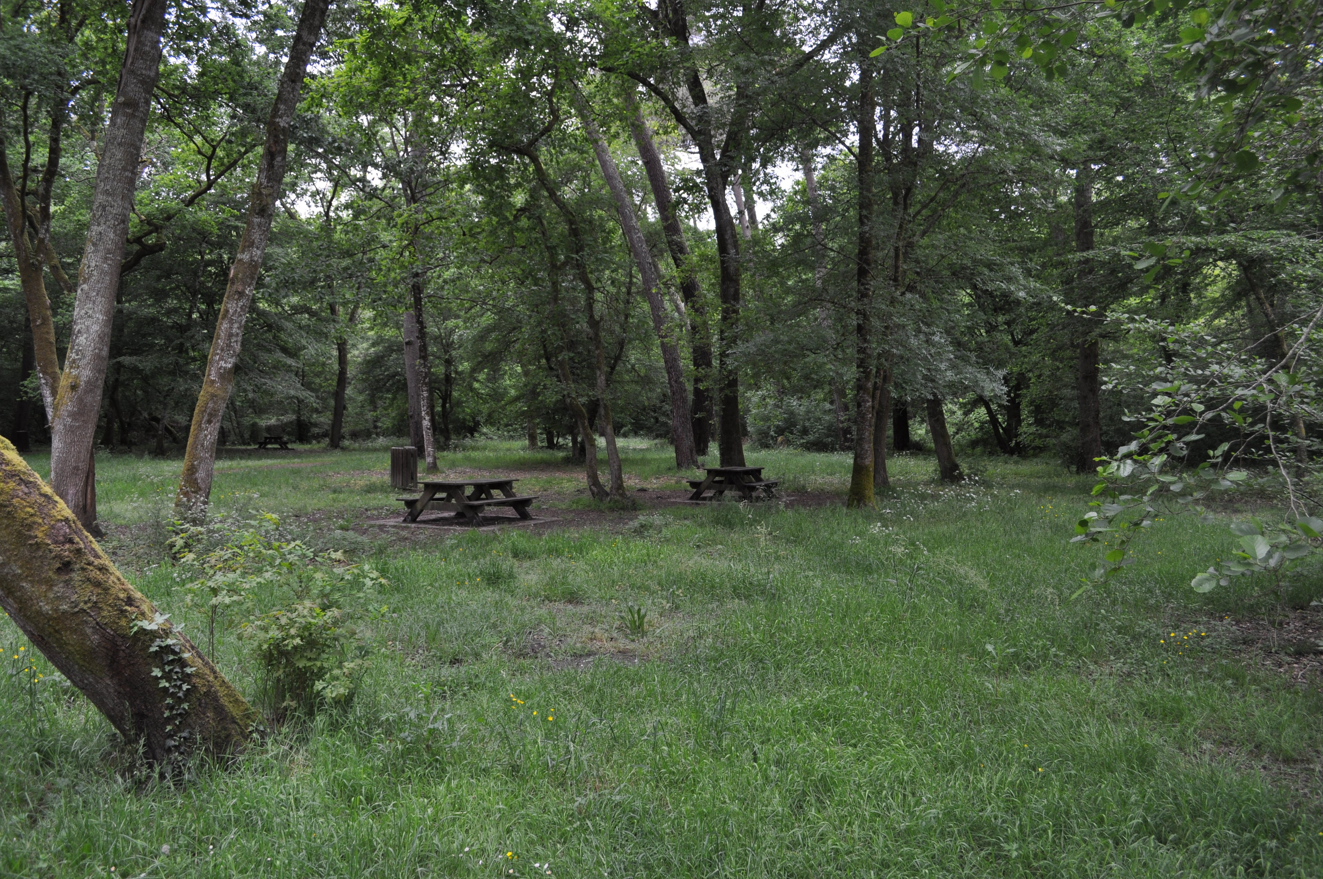 Balade à roulettes : Le moulin de Rouillac