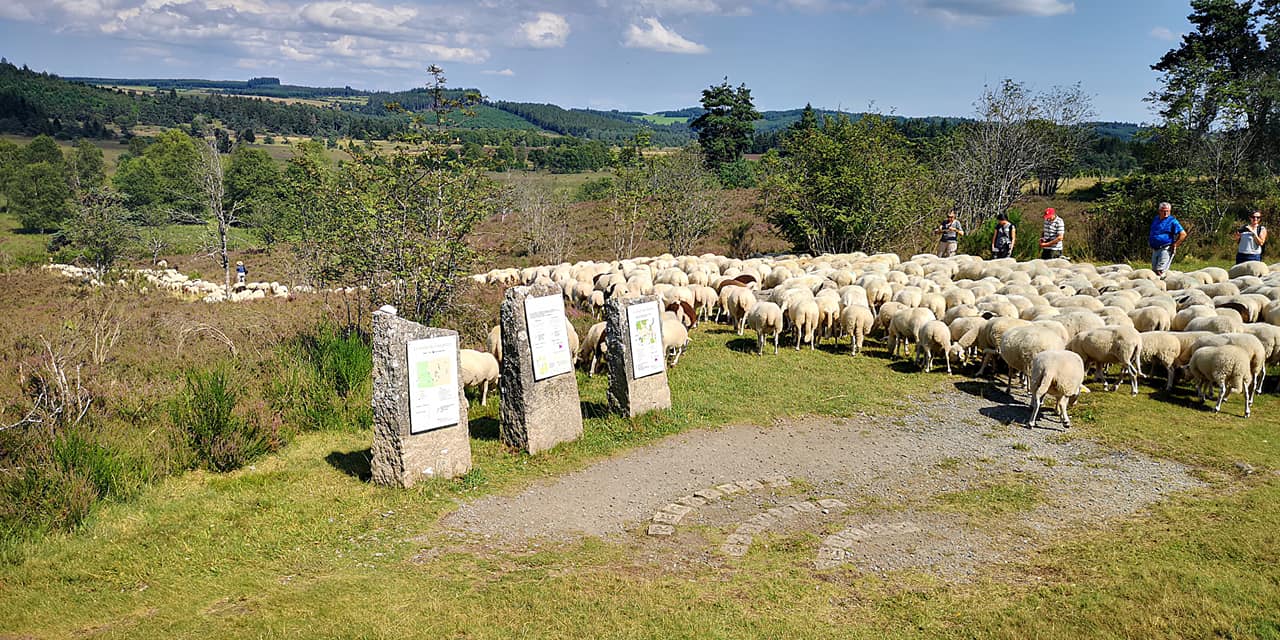 Tourbière du Longeyroux : sentier d'interprétation des Linaigrettes - 1 km