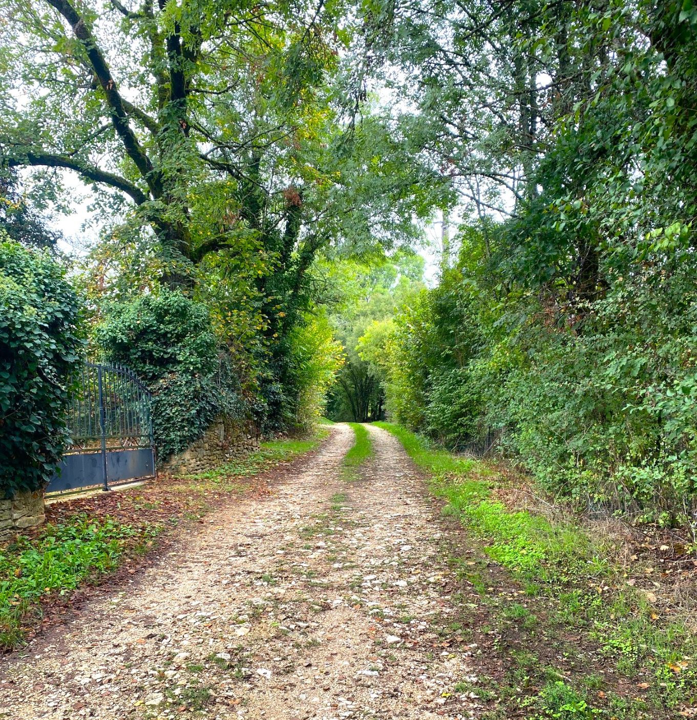 Boucle des genevriers, Brouchaud - photo 8