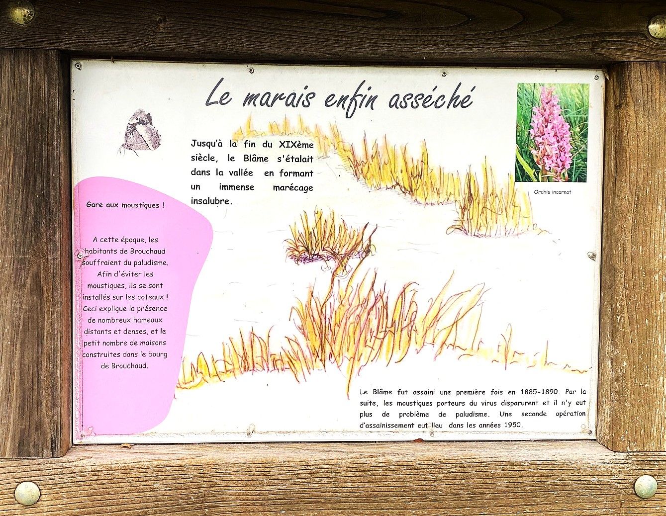 Boucle des genevriers, Brouchaud - photo 7