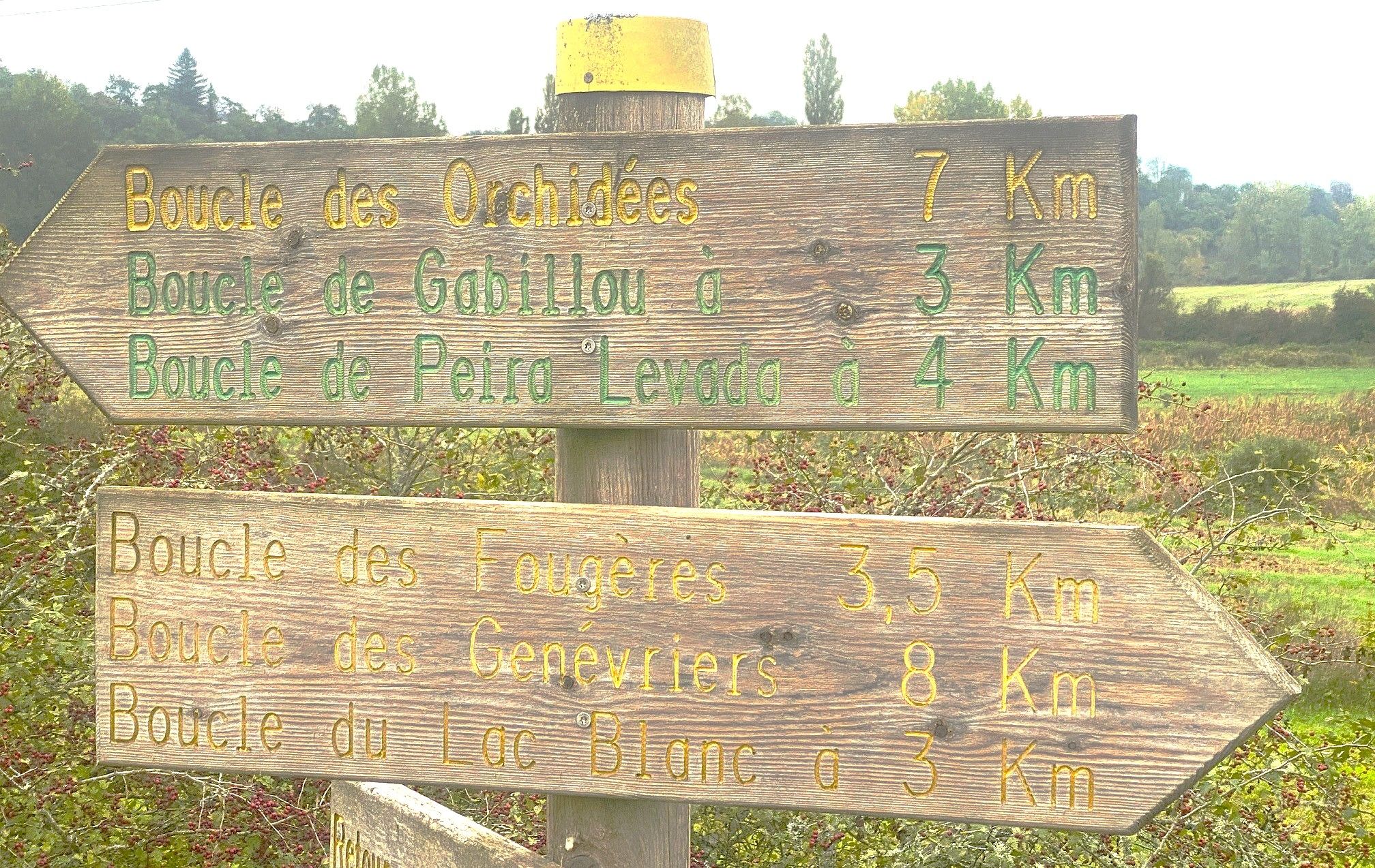 Boucle des genevriers, Brouchaud - photo 5