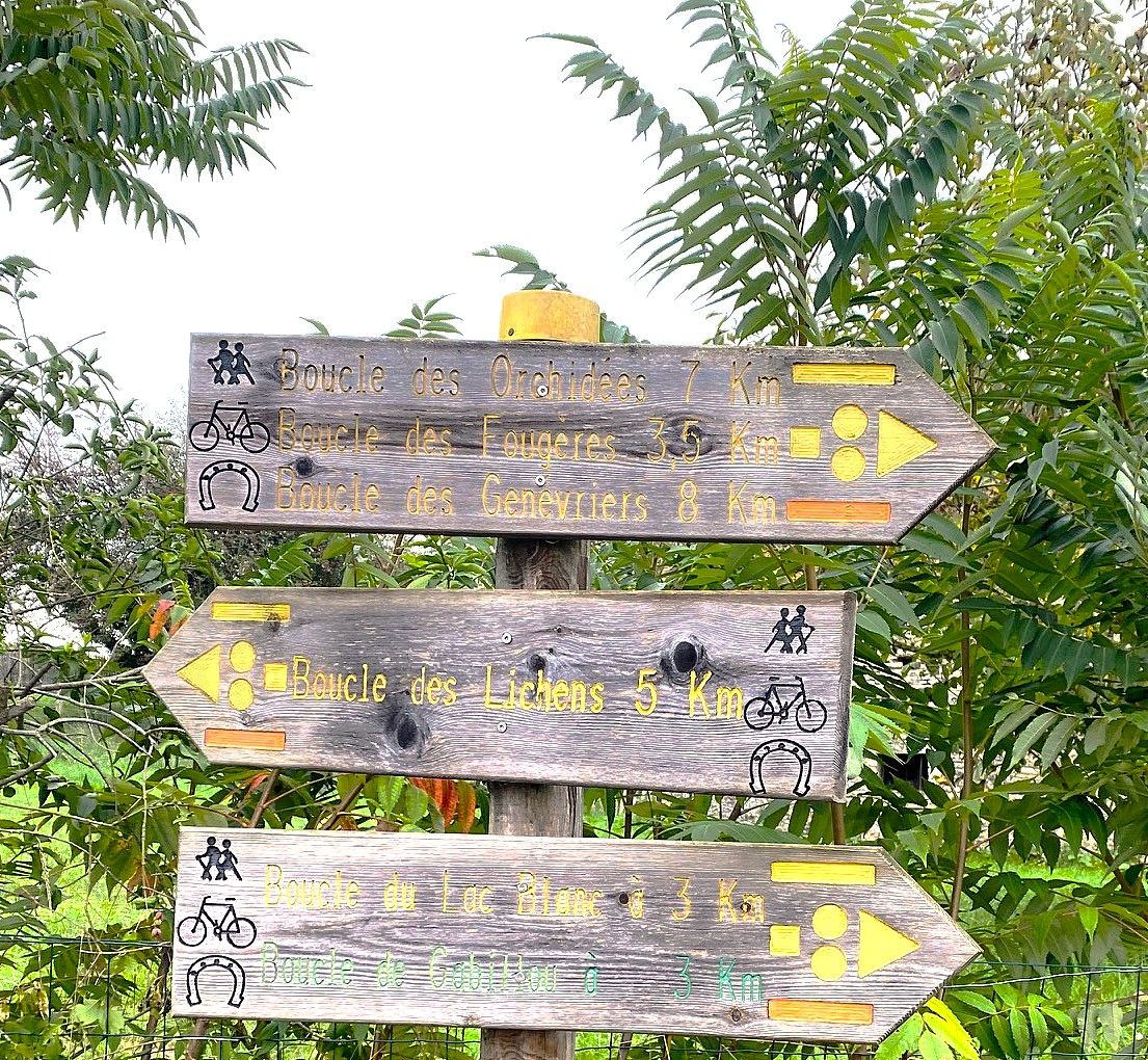 Boucle des Lichens, Brouchaud - photo 4