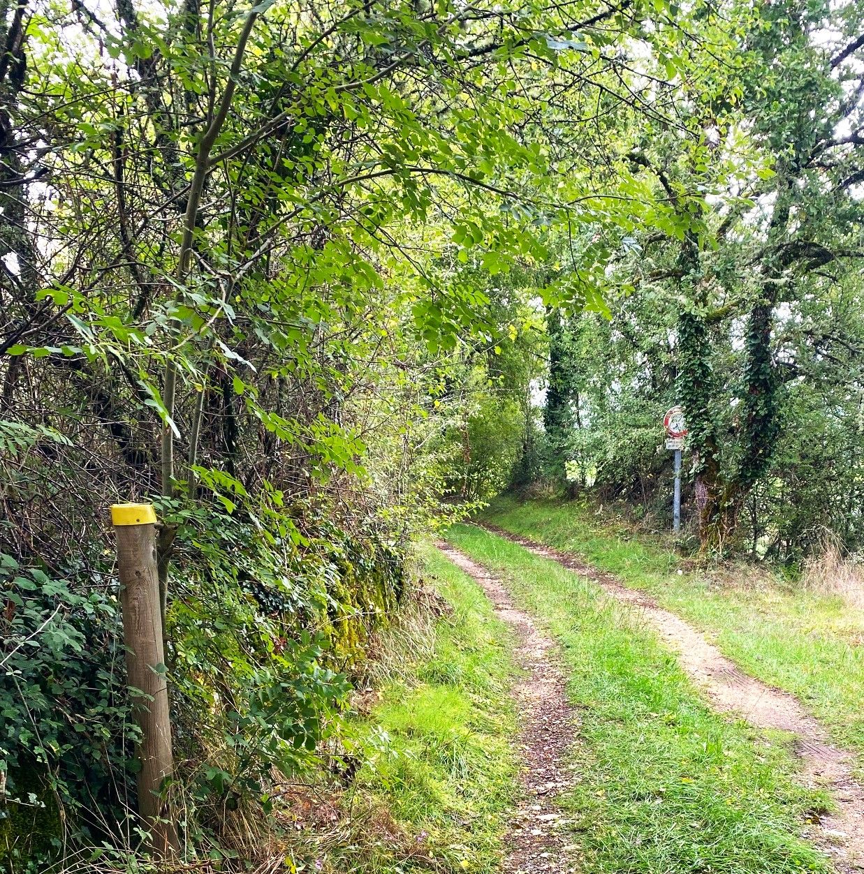 Boucle des orchidées, Brouchaud - photo 6