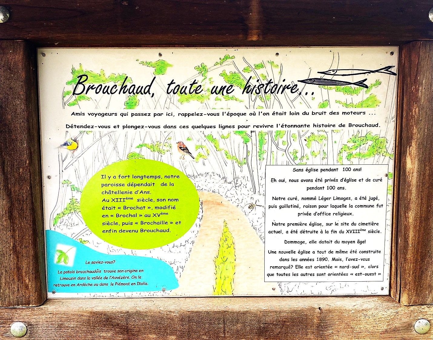 Boucle des orchidées, Brouchaud - photo 10